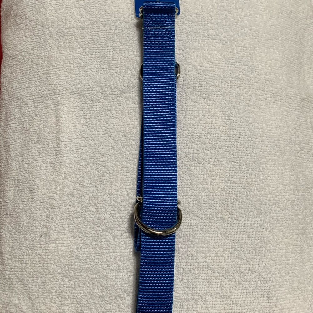 🔥NWT dog collar